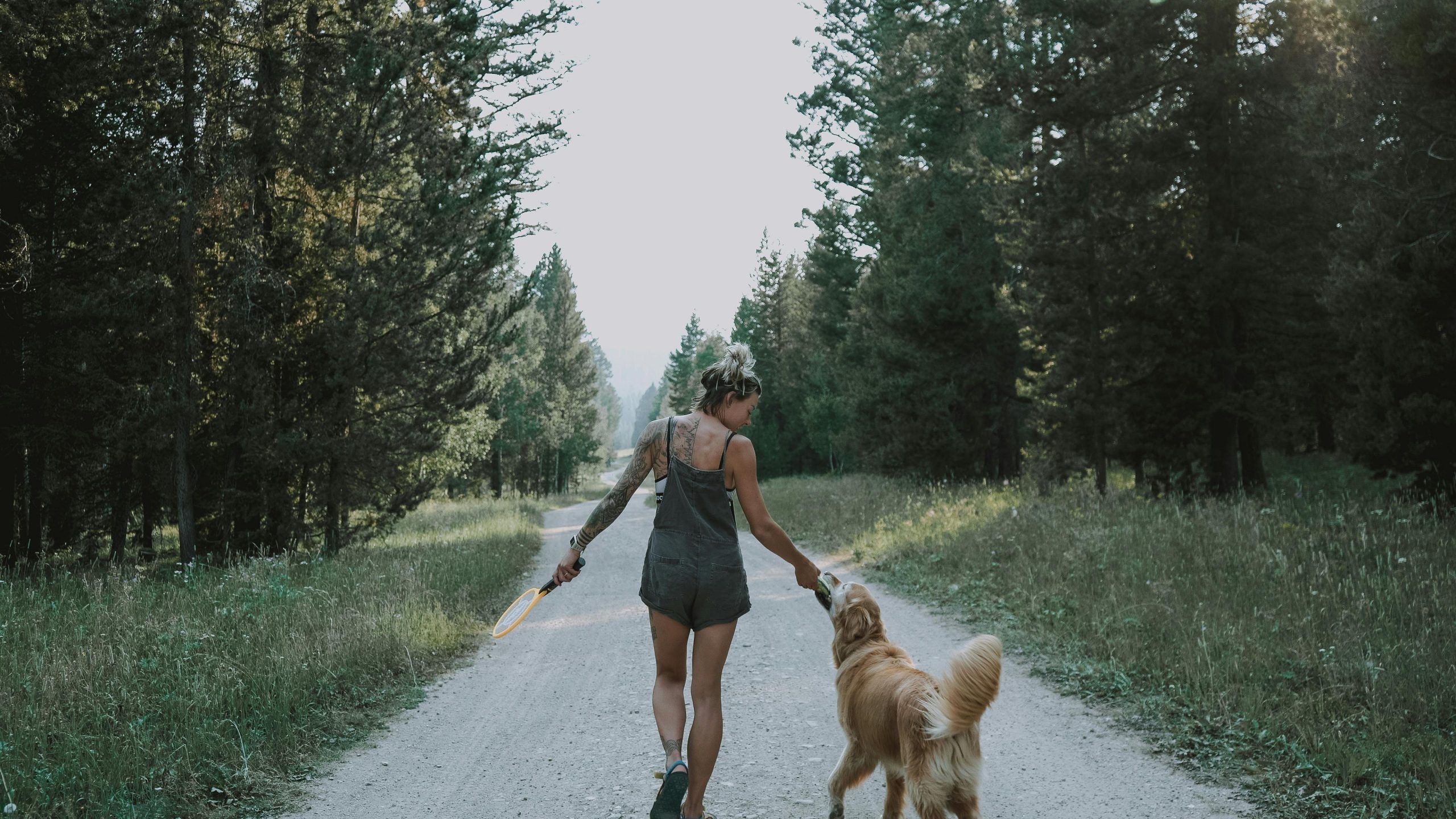 A woman walks down a dirt path in a sunlit forest during summer, accompanied by her dog. She holds a racket and a ball, suggesting a playful outdoor activity.